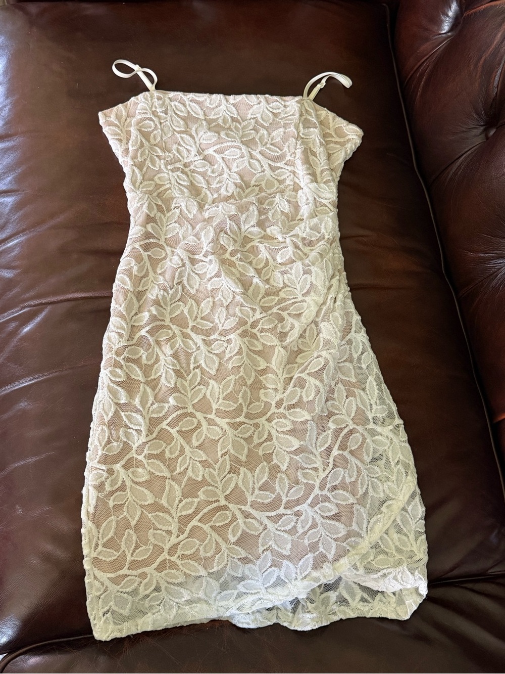 Windsor Blush Lace Mini Dress with Leaf Overlay